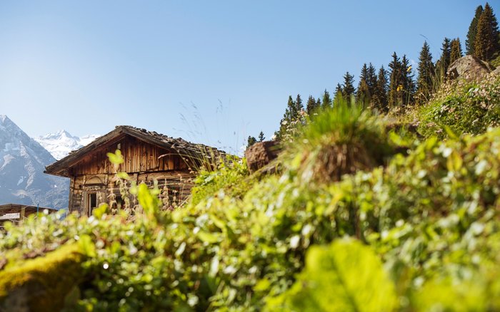 Sommer, Sonne, Berge - 
Herz, was willst du me(e)hr?